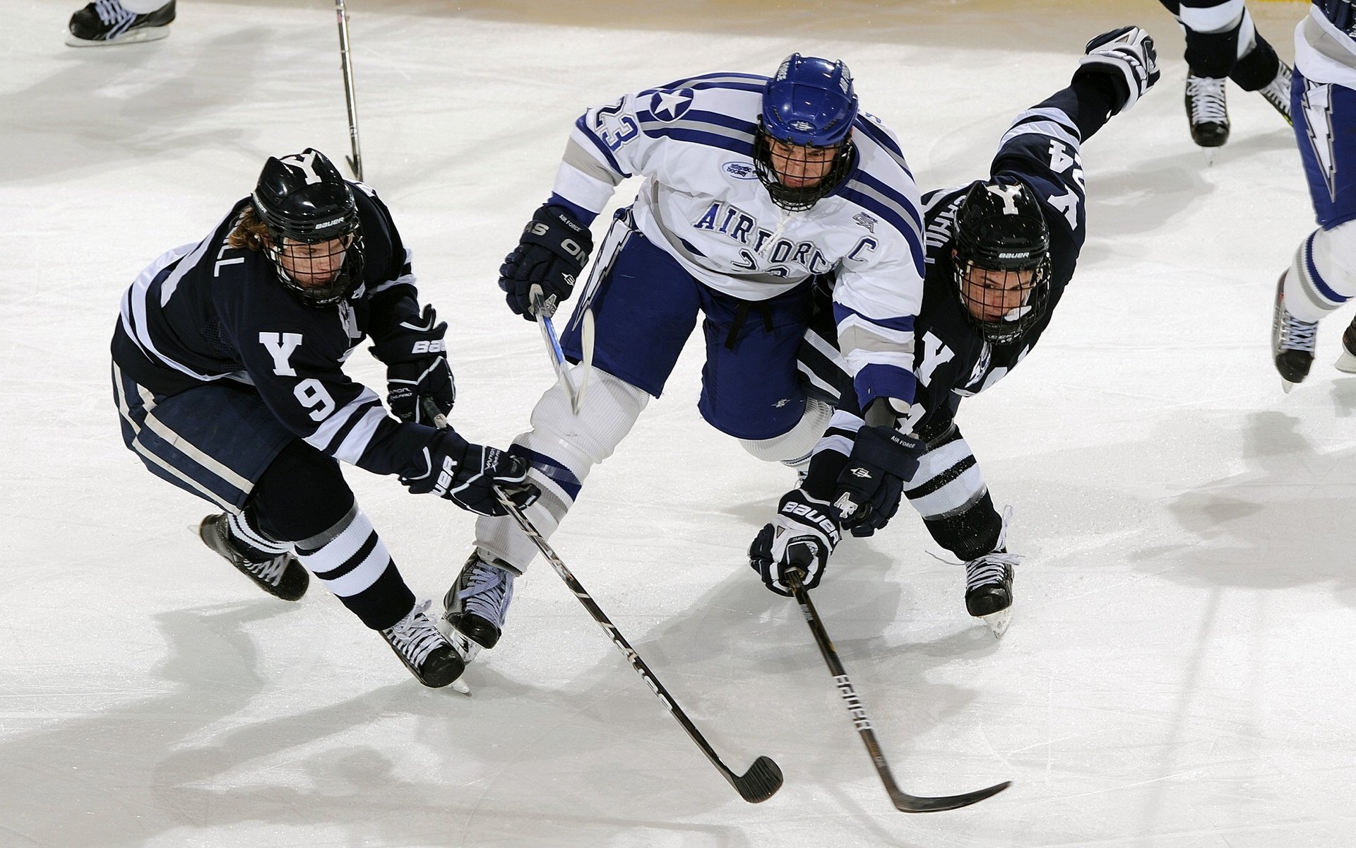 熊猫体育app-赛道与球场，范弗利特F1争冠接管战，湖人击败广厦的启示