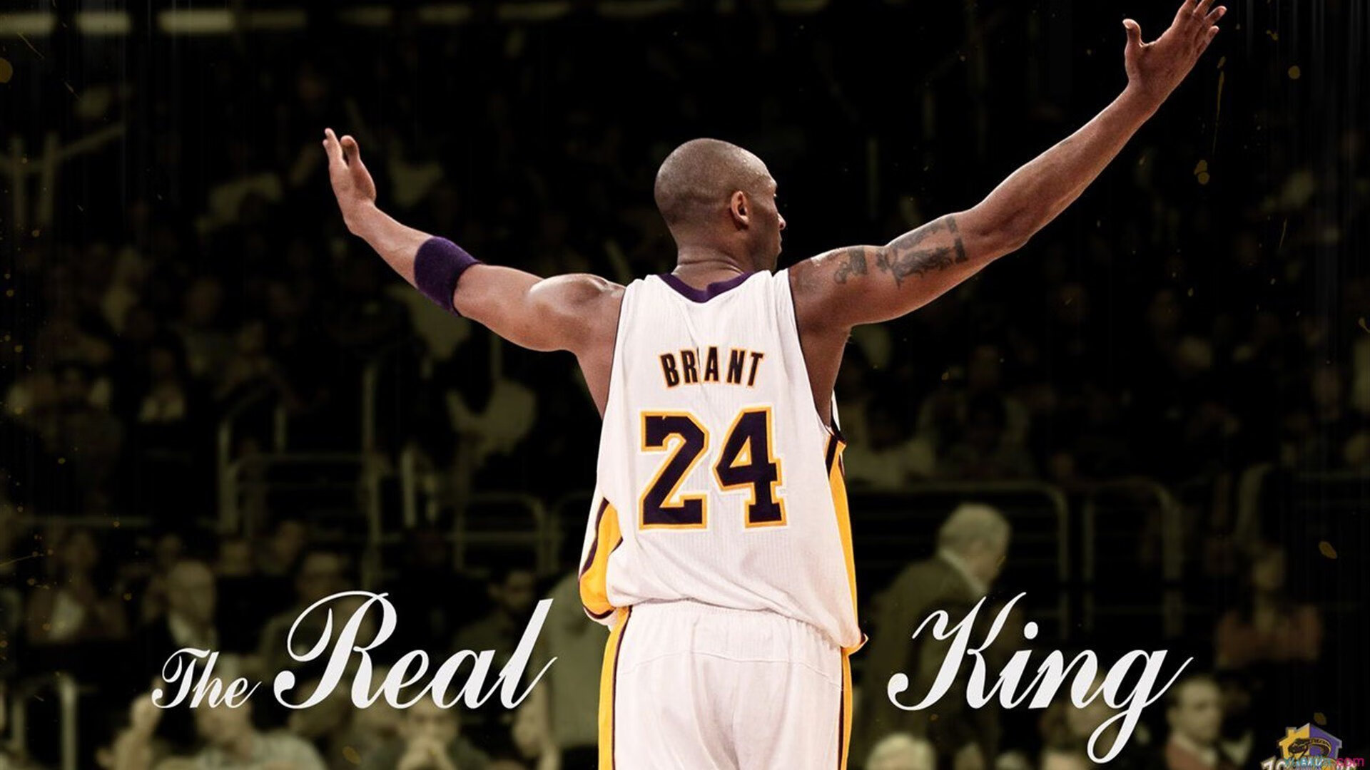 意甲焦点战之夜，文班亚马的制胜艺术